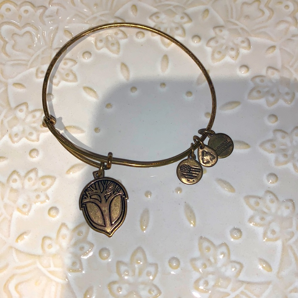 Alex and ani